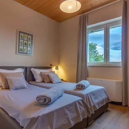 Mykoltrina In Istria For 10 Persons With With Wellness & 72 M2 Large Pool Villa *