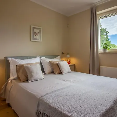Mykoltrina In Istria For 10 Persons With With Wellness & 72 M2 Large Pool Butkovići