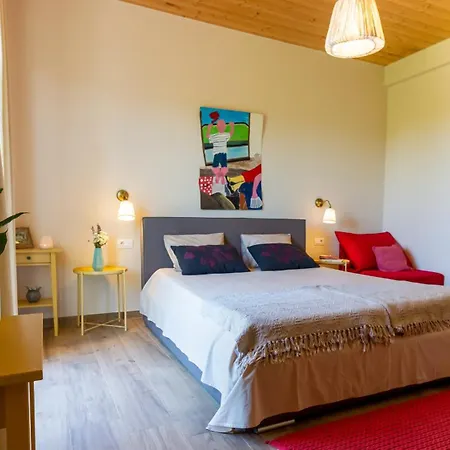 Villa Mykoltrina In Istria For 10 Persons With With Wellness & 72 M2 Large Pool