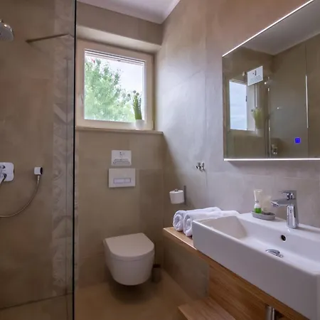 Mykoltrina In Istria For 10 Persons With With Wellness & 72 M2 Large Pool